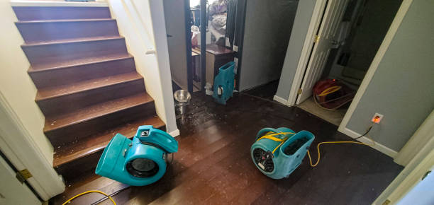 Best Water damage cleanup near me  in Home Garden, CA