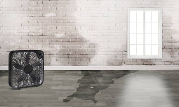  Home Garden, CA Water damage restoration Pros
