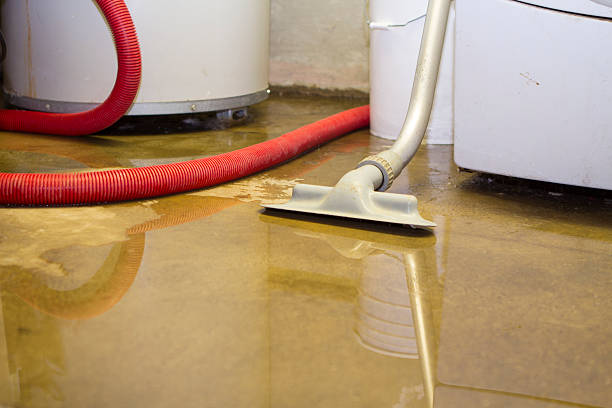 Best Local water damage restoration  in Home Garden, CA