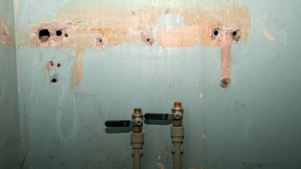 Best 24/7 water damage repair  in Home Garden, CA