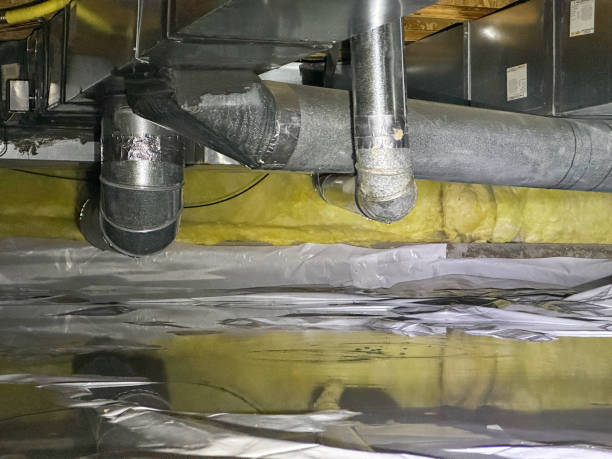 Best Professional water damage repair  in Home Garden, CA