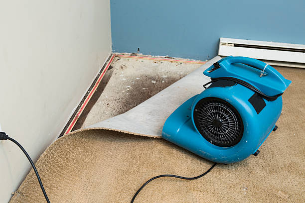Reliable Home Garden, CA Water damage restoration Solutions